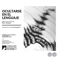 Ocultarse en el Lenguaje - Obra reciente de Sara Hooper - Viernes, 17 de Agosto de 2018